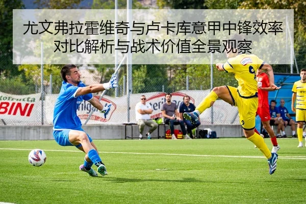 尤文弗拉霍维奇与卢卡库意甲中锋效率对比解析与战术价值全景观察 - leyu